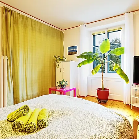 아파트 Le Bananier Sur Le Avec Terrasse Et Parking Prive