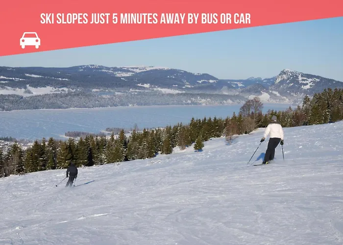 Le Bananier Sur Le Avec Terrasse Et Parking Privé