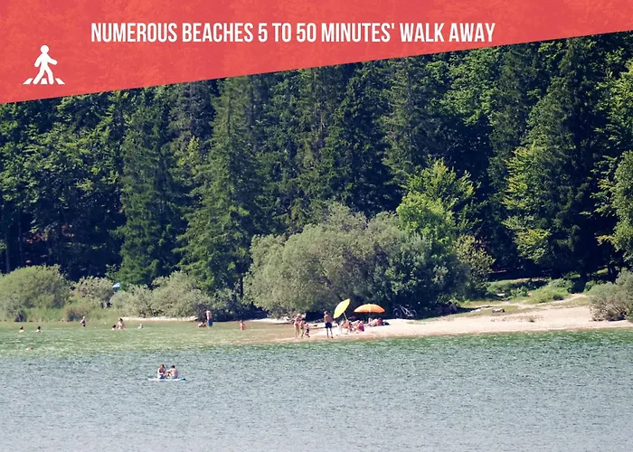 Le Bananier Sur Le Avec Terrasse Et Parking Privé Appartamento *