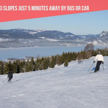 Le Bananier Sur Le Avec Terrasse Et Parking Prive