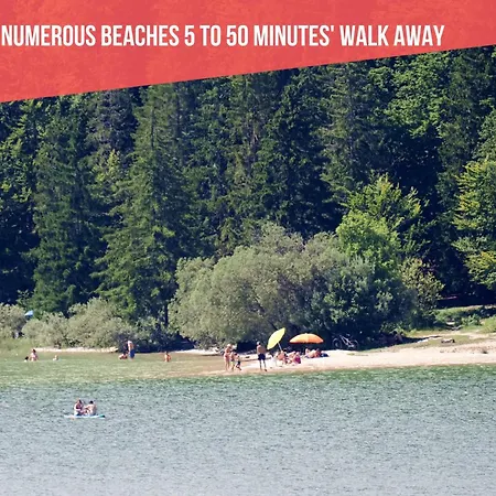 Le Bananier Sur Le Avec Terrasse Et Parking Prive شقة *