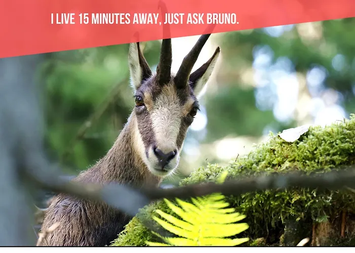 شقة Le Bananier Sur Le Avec Terrasse Et Parking Prive